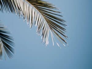 img-private-holidays-01